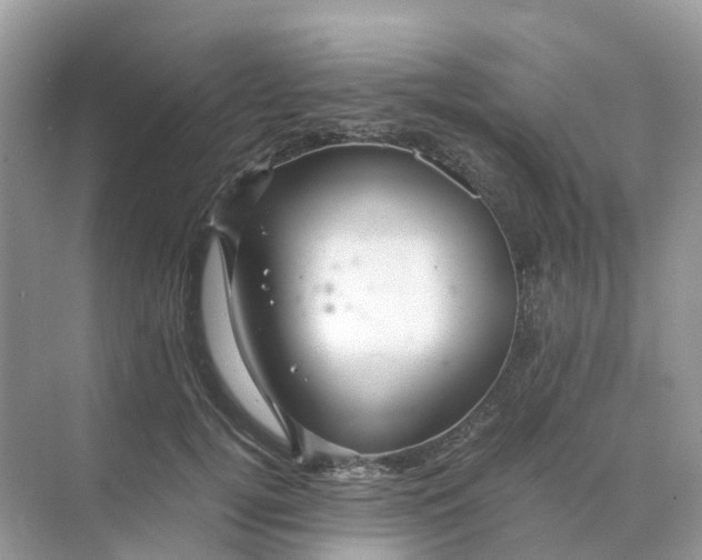 X0000070170752200606162055