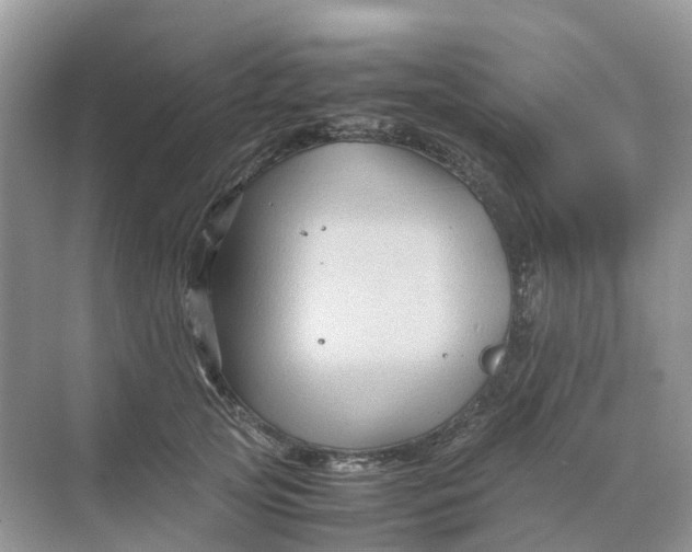 X0000070170753200606162055