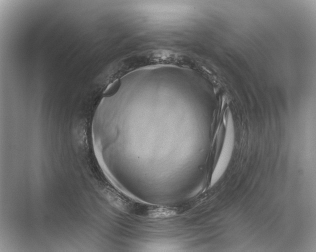 X0000070170754200606162056