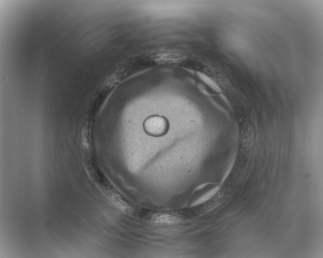 X0000070170755200606162056