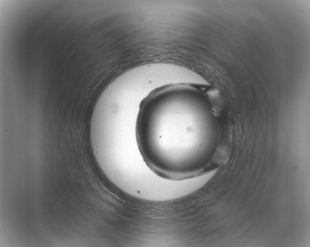 X0000070170756200606162056