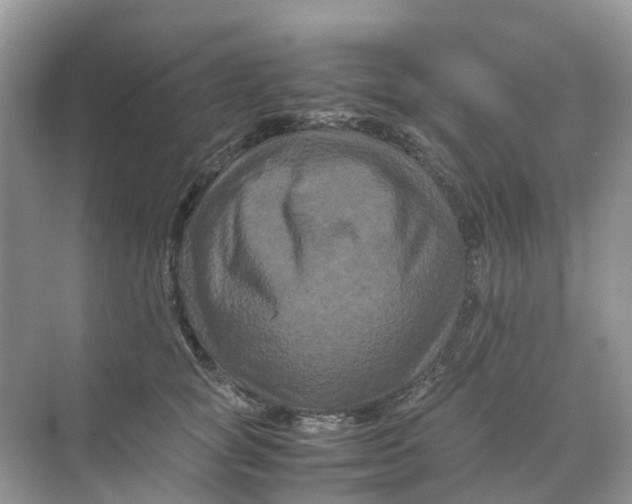 X0000070170757200606162056