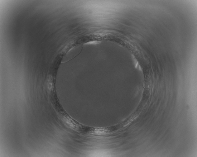 X0000070170758200606162056