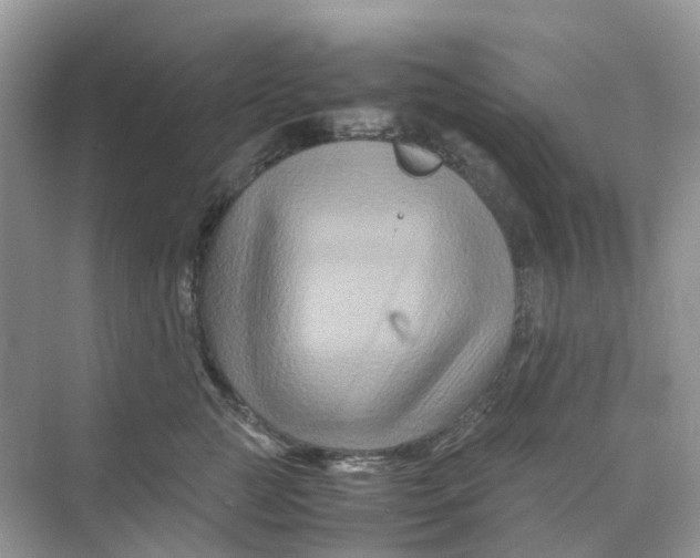 X0000070170761200606162056