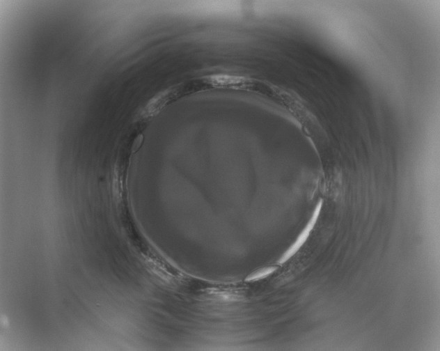 X0000070170763200606162056