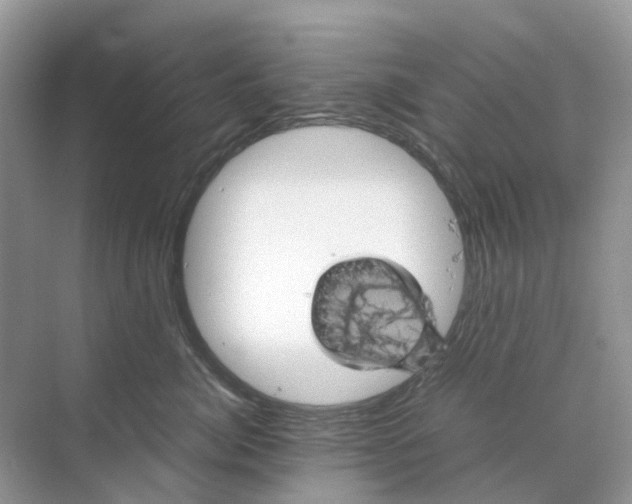 X0000070170764200606162056