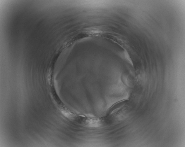 X0000070170767200606162056