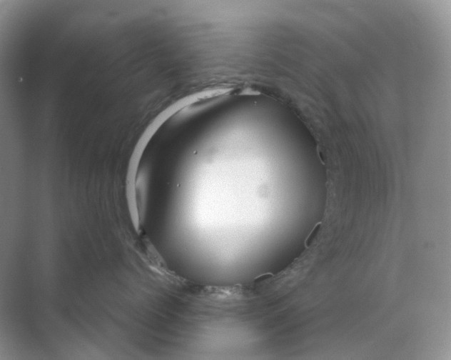 X0000070170768200606162056