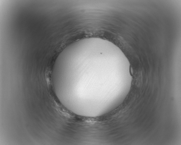 X0000070170770200606162055