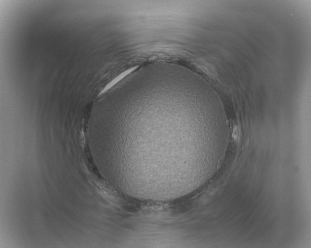 X0000070170771200606162055