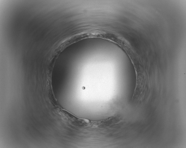 X0000070170773200606162055