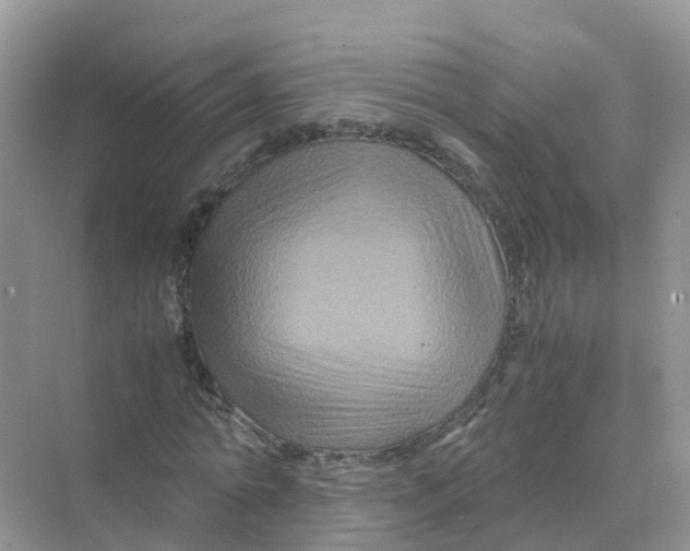 X0000070170774200606162055