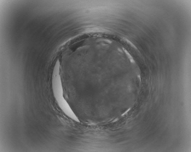 X0000070170775200606162055