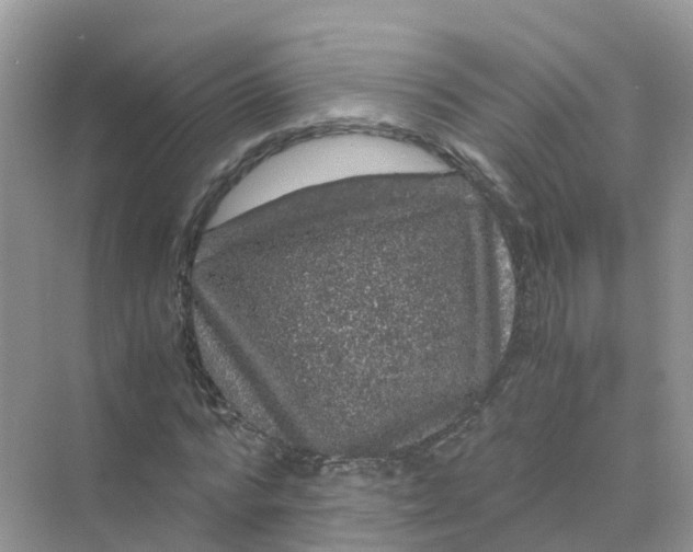 X0000070170776200606162055