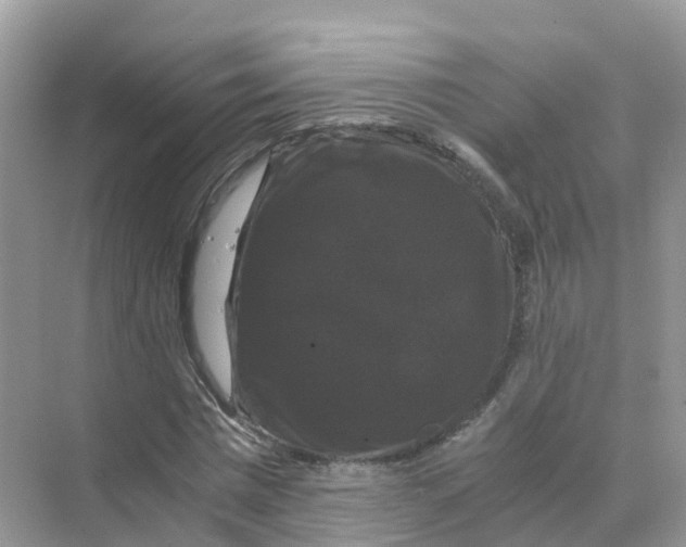 X0000070170777200606162055