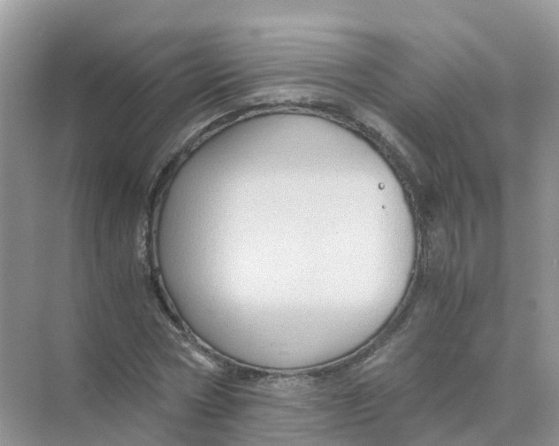 X0000070170778200606162055