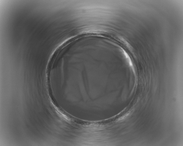 X0000070170779200606162055