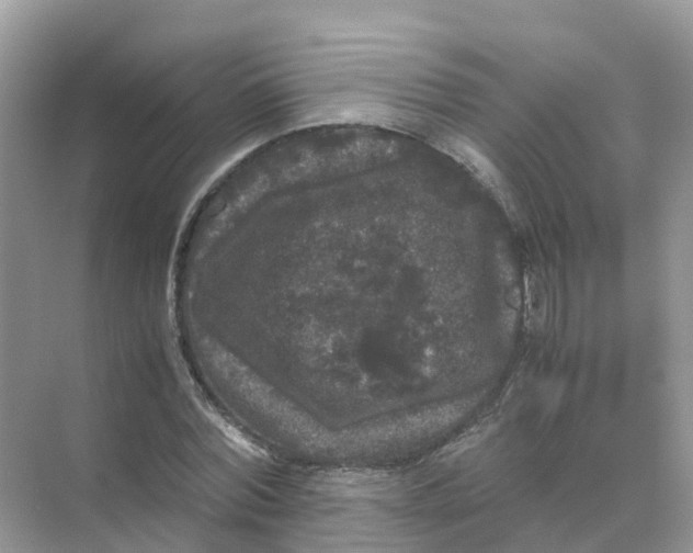 X0000070170780200606162055