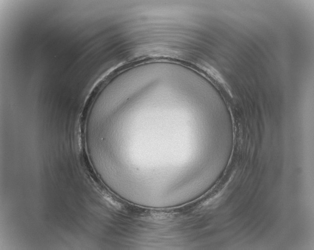 X0000070170782200606162055