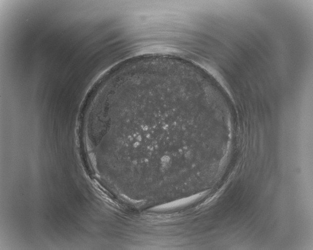 X0000070170783200606162055