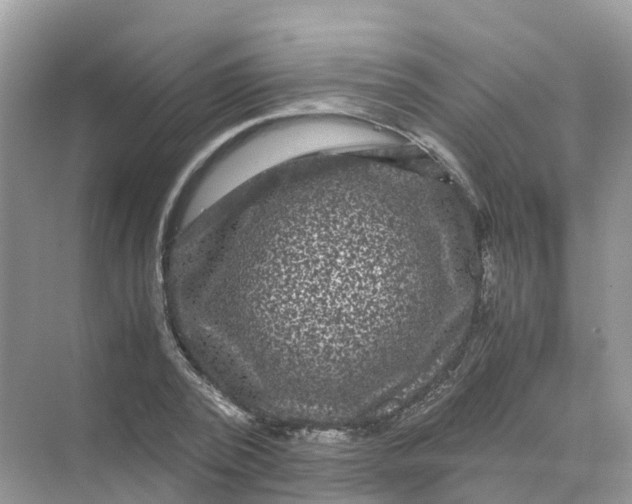 X0000070170784200606162055