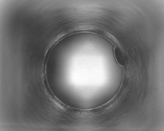 X0000070170786200606162055