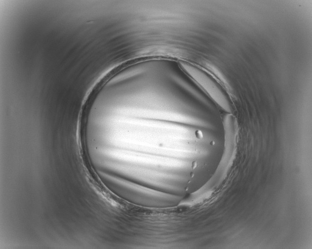 X0000070170788200606162055