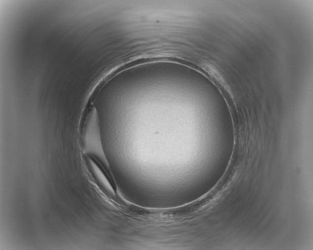 X0000070170789200606162055