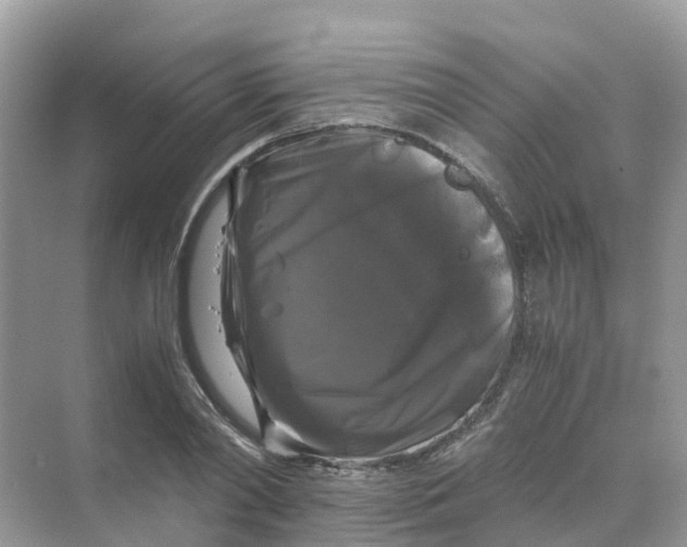 X0000070170790200606162055