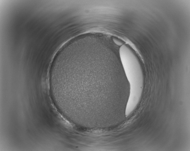 X0000070170791200606162055