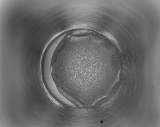 X0000070170792200606162055