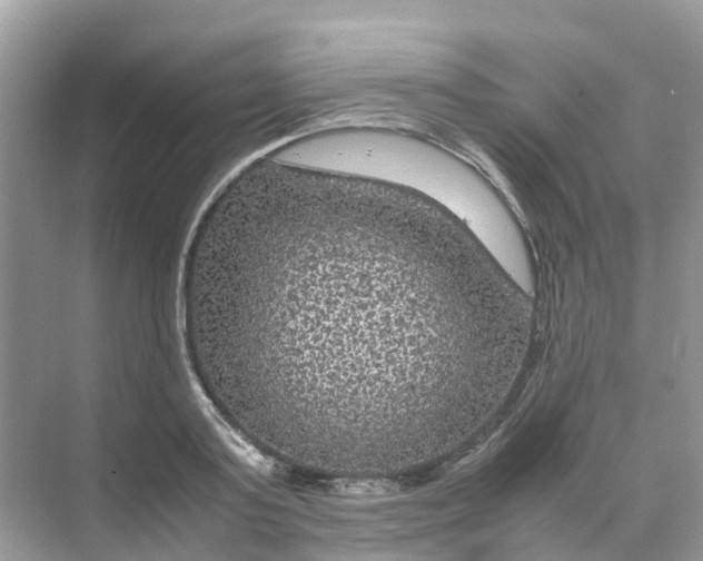 X0000070170795200606162054