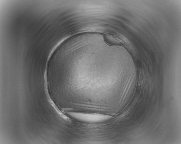 X0000070170796200606162054