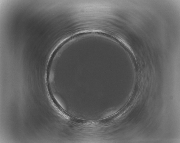 X0000070170797200606162054