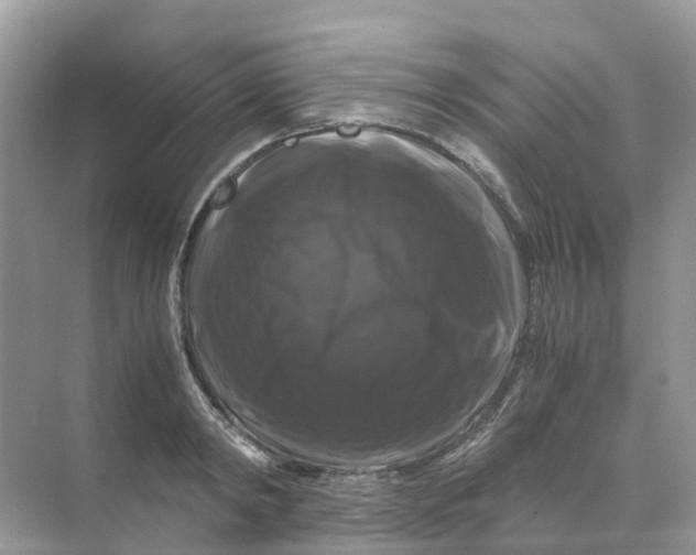 X0000070170798200606162054