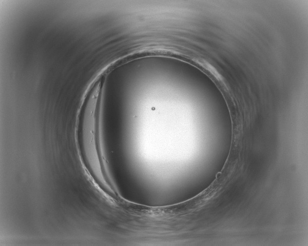 X0000070170799200606162054