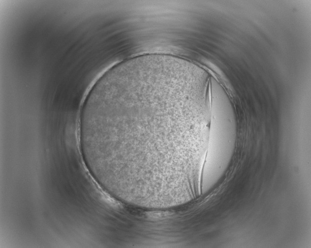 X0000070170804200606162054