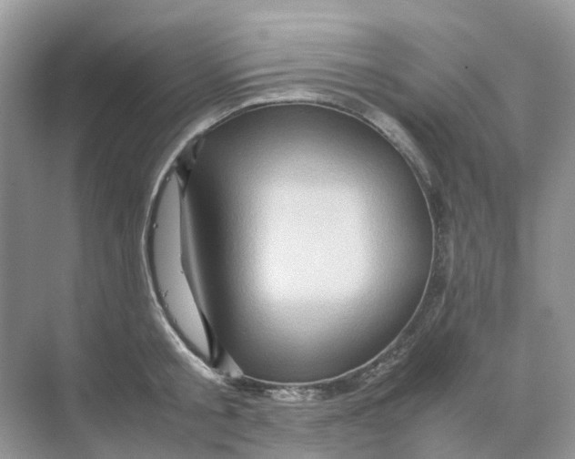 X0000070170805200606162054