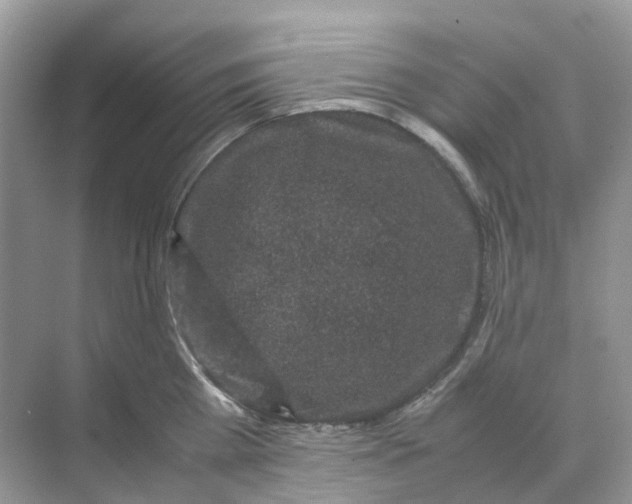 X0000070170809200606162054