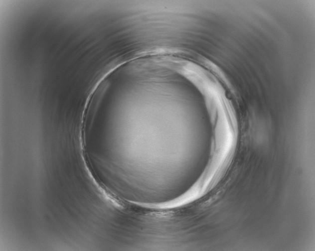 X0000070170810200606162054