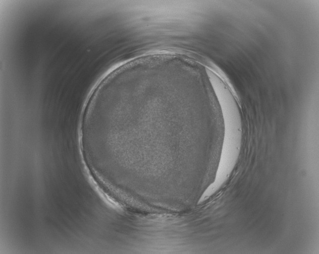 X0000070170811200606162054