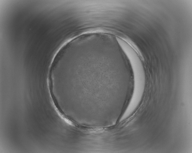 X0000070170813200606162054