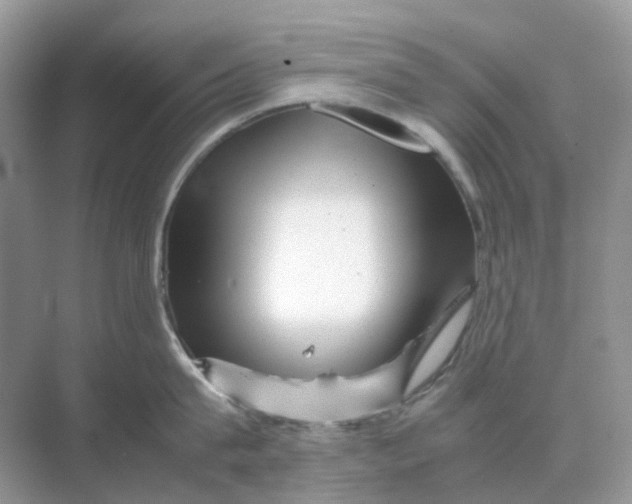 X0000070170815200606162054