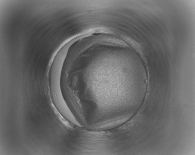 X0000070170816200606162054