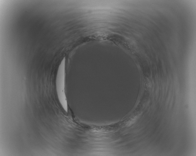 X0000070170818200606162053