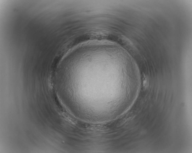 X0000070170819200606162053