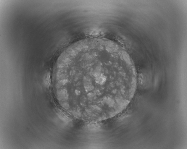 X0000070170820200606162053