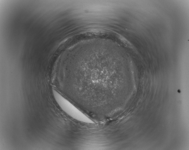 X0000070170822200606162053