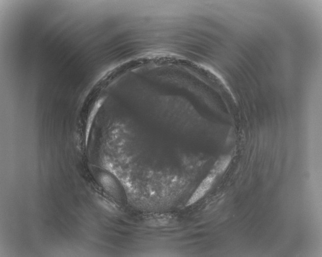 X0000070170823200606162053