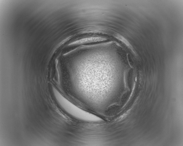 X0000070170826200606162053